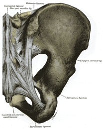 gait-joint